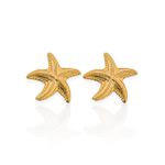 BRINCO FOLHEADO A OURO 18K ESTRELA DOR MAR DOURADO