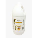 Condicionador Banana e Mel Garbus Hair 5 litros