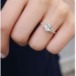 Anel Castor Ouro 18K Casamento