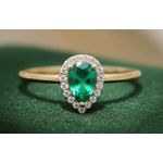 Anel de Formatura Orquidea Ouro 14K