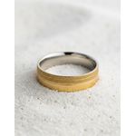 Par de Alianças Pulsar 