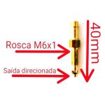 Bico Injetor Longo e Direcionado 2x1 gnv