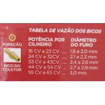Rampa de Injeção (Flauta) para Kit Zeus4 IGT