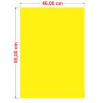 Cartaz Duplex Amarelo 46x65 cm