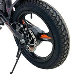 E-Bike Foston P-160