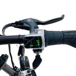 E-Bike Foston P-160