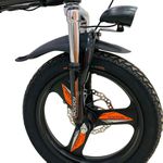 E-Bike Foston P-160