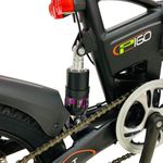 E-Bike Foston P-160