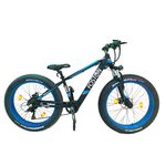 E-Bike Foston P-264 S 350W - Azul