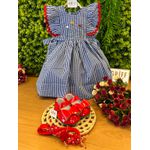 Vestido Jardim Fru-fru Xadrez azul/vermelho