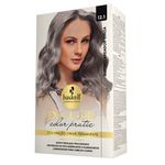Kit Color Pratic 12.1 Superclareador Cinza