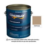 CIACOLLOR ACR. PERFORMANCE FOSCO CAMURCA 3,6 L GL