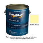 CIACOLLOR ACR. PERFORMANCE FOSCO AMARELO CANARIO 3,6 L GL