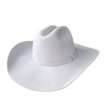 CHAPEU PRANALA ARIZONA GELO 120116663603