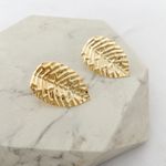 Brinco Folhagem Folheado em Ouro 18k