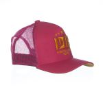 BONÉ IDR TRUCKER ABA CURVA OFICIAL - ROSA