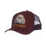 BONÉ IDR TRUCKER ABA CURVA OFICIAL - EXÓTIC BULLY 