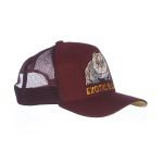 BONÉ IDR TRUCKER ABA CURVA OFICIAL - EXÓTIC BULLY 