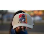 BONÉ IDR TRUCKER ABA CURVA OFICIAL - PIT MONSTER- CAQUI
