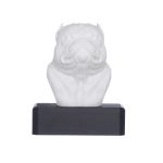 TROFÉU IDR EXOTIC - BRANCO