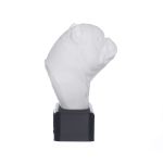 TROFÉU IDR EXOTIC - BRANCO