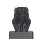 TROFÉU IDR EXOTIC - PRETO