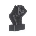 TROFÉU IDR EXOTIC - PRETO