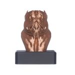 TROFÉU IDR EXOTIC - BRONZE