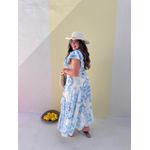 Vestido Catarina Estampado Azul 