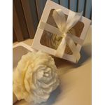 Vela Flor Peônia 50g