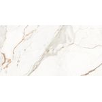 PORCELANATO CAPRAIA POLIDO 61X120 DAMME