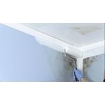 RUST OLEUM ZI ZINSSER MOLD KILLING PRIMER 3,785L