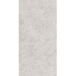 PORTINARI PO RITUAL SGR NAT 60X120 RET (NATURAL - NATURAL)