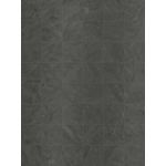 PORTINARI PO AUDAZ DGR MLX 20X20 (NATURAL - MATTE/LUX)