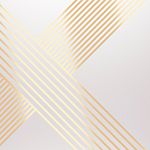 CEUSA GOLD LINE BK MIX MLX 20X20