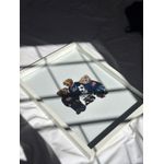 Quadro decorativo polo bear 2