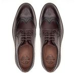 Sapato Casual Derby Trento Castanho 
