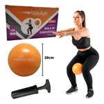 Bola Exercicios 20cm Ginastica Pilates Fisioterapia Yoga c/ Bomba