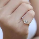 Anel de Noivado Phoenix Zircônias