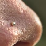 Piercing Bolinha de Ouro18k 