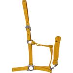 CABRESTO QUARTO DE MILHA GH AMARELO
