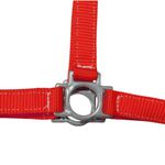 CABRESTO QUARTO DE MILHA GH VERMELHO