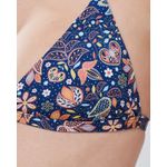 Biquini Asa Delta Gardha com Top Fixo 333