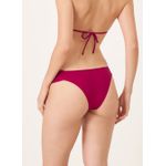 Biquíni Borboleta Vinho Bordeaux 811
