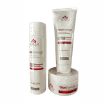 KIT OJON REPAIR DAMAGE KASI 