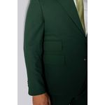 Costume Verde Suíça Lapela 10cm - King Ternos