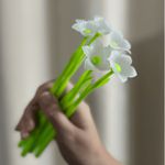 Caneta Flores