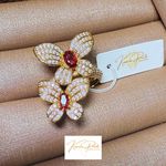 Conjunto Apoline 