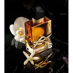 LIBRE Ives Saint Laurent EDP Intense 30ml