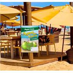 Banner Agua de Coco modelo1